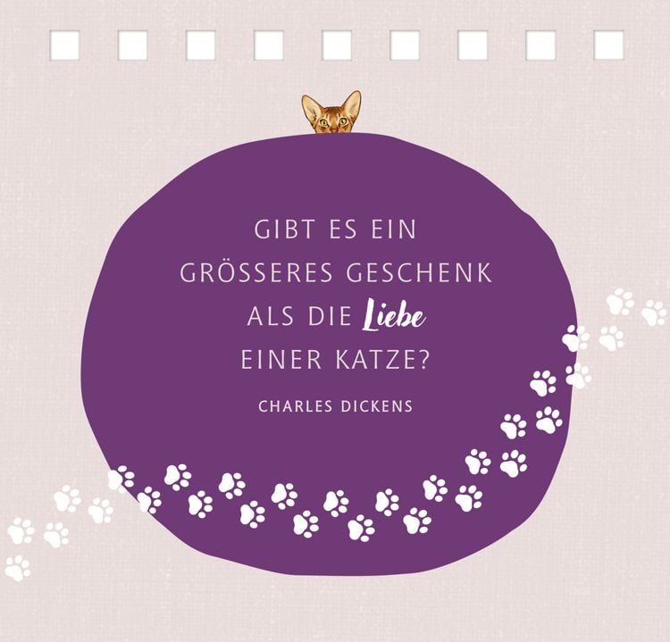 Produktbild: Das Gl&uuml;ck kommt auf Samtpfoten