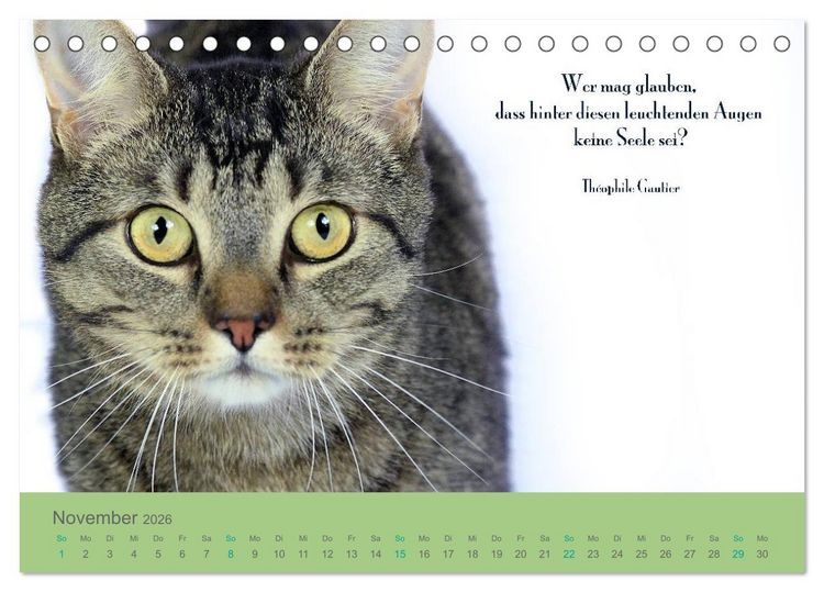 Produktbild: Katzenzitate 2026 (Tischkalender 2026 DIN A5 quer), CALVENDO Monatskalender
