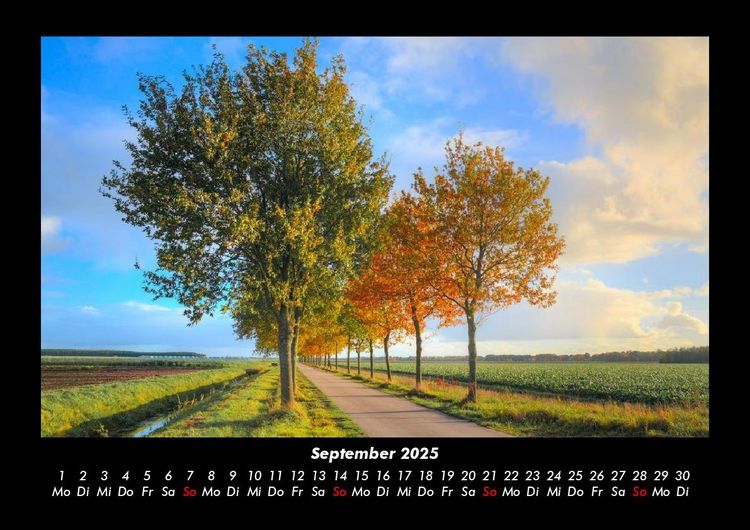Produktbild: B&auml;ume 2025 Fotokalender DIN A3