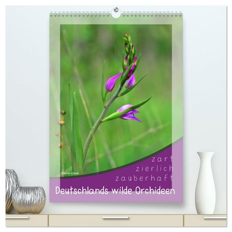 Produktbild: Deutschlands wilde Orchideen (hochwertiger Premium Wandkalender 2026 DIN A2 hoch), Kunstdruck in Hochglanz