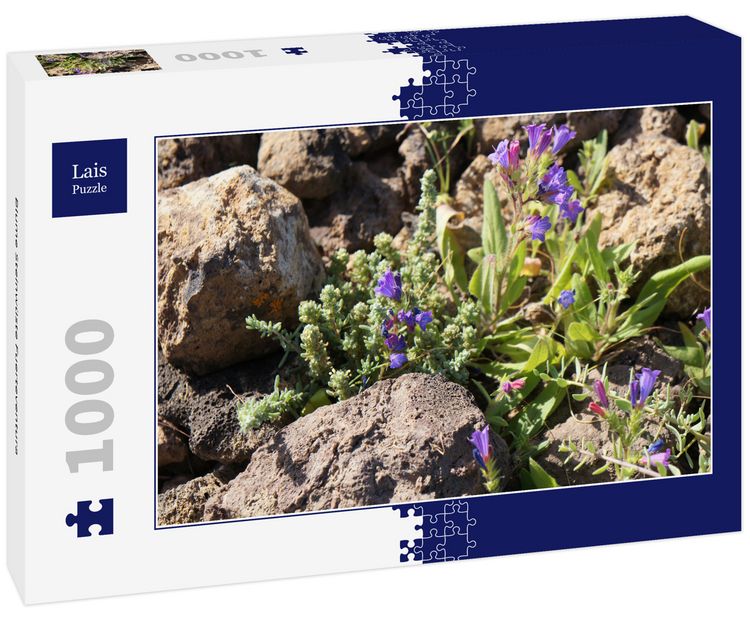 Produktbild: Lais Puzzle Blume Steinw&uuml;ste Fuerteventura 1000 Teile
