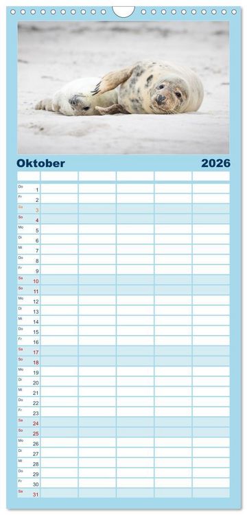 Produktbild: Familienplaner 2026 - Junge Kegelrobben mit 5 Spalten (Wandkalender, 21 x 45 cm) CALVENDO