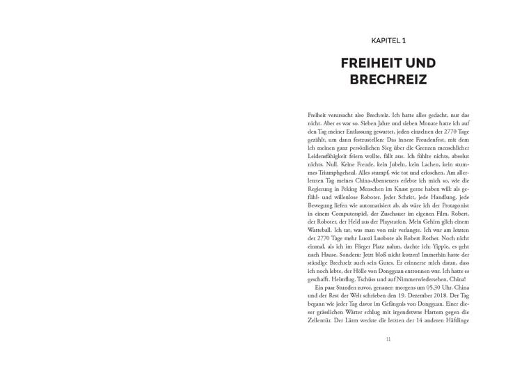 Produktbild: Drachenjahre