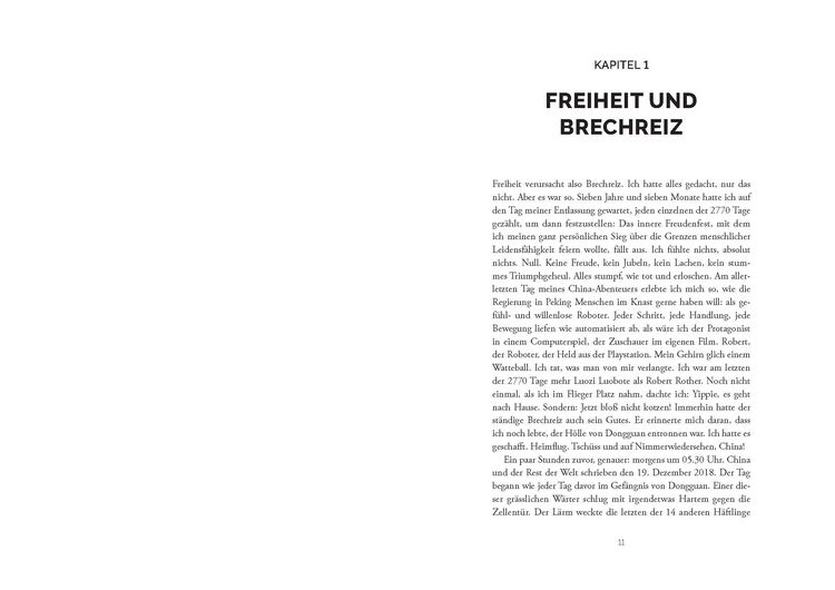 Produktbild: Drachenjahre