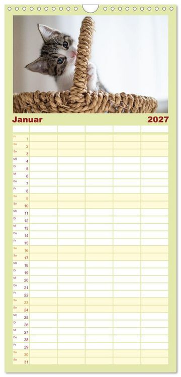 Produktbild: Familienplaner 2027 - Kitten auf Entdeckungsreise mit 5 Spalten (Wandkalender, 21 x 45 cm) CALVENDO