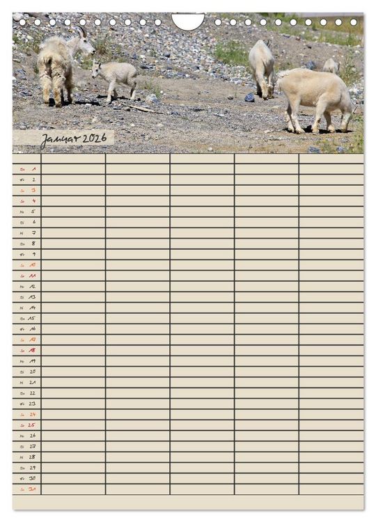 Produktbild: Tierischer Familienplaner (Wandkalender 2026 DIN A4 hoch), CALVENDO Monatskalender