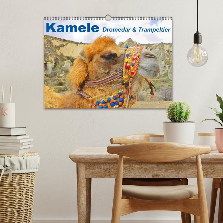 Produktbild: Kamele &bull; Dromedar & Trampeltier (Wandkalender 2026 DIN A3 quer), CALVENDO Monatskalender