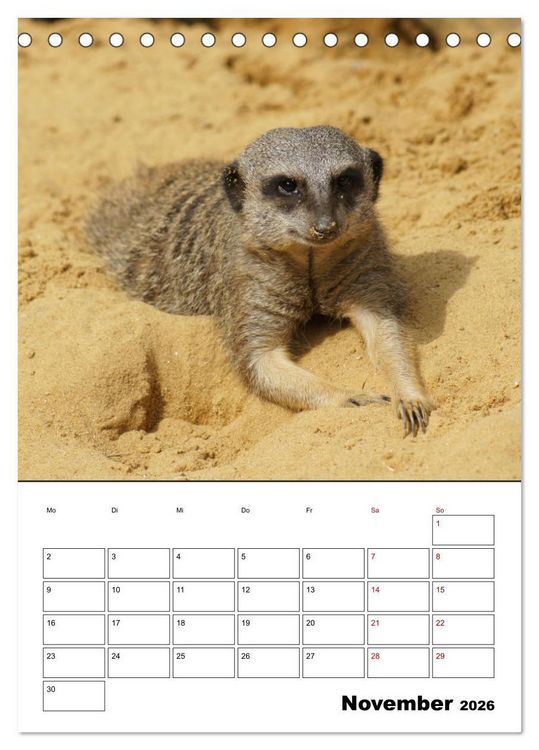 Produktbild: Niedliche Erdm&auml;nnchen (Tischkalender 2026 DIN A5 hoch), CALVENDO Monatskalender