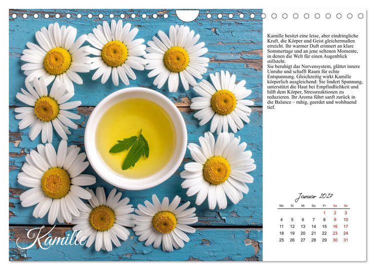 Produktbild: Heilsame Aroma&ouml;le (Wandkalender 2027 DIN A4 quer), CALVENDO Monatskalender