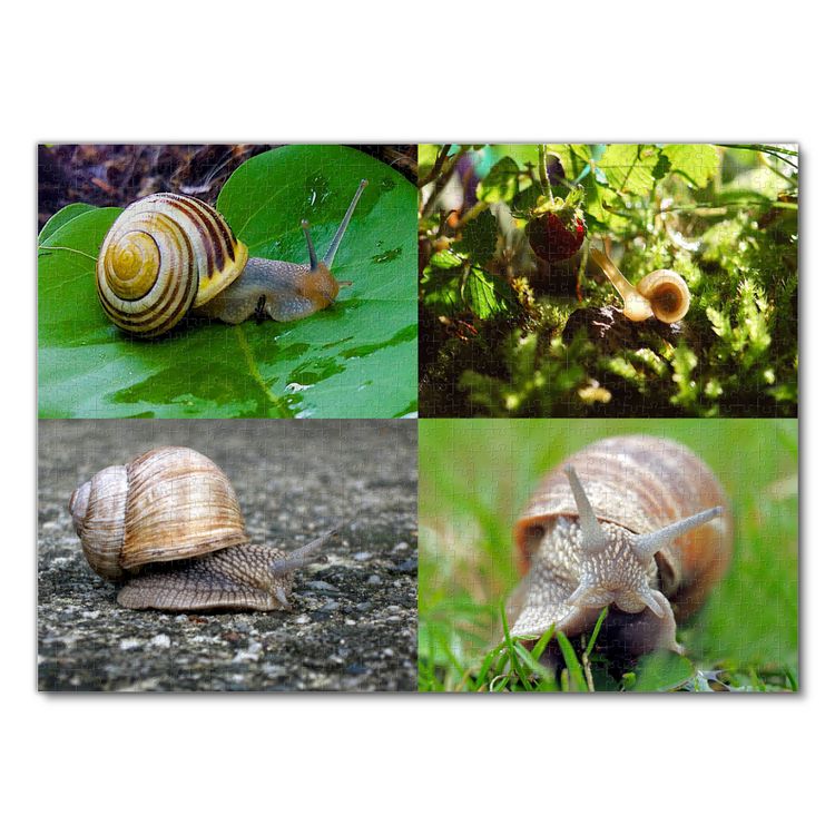 Produktbild: Lais Puzzle Collage Schnecke 1000 Teile