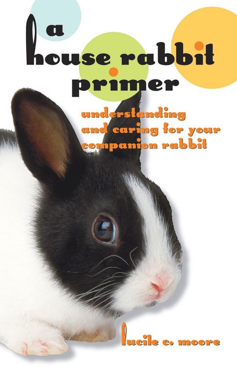 Produktbild: A House Rabbit Primer
