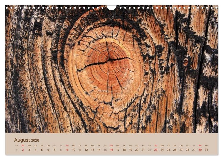 Produktbild: Farben des Holzes (Wandkalender 2026 DIN A3 quer), CALVENDO Monatskalender