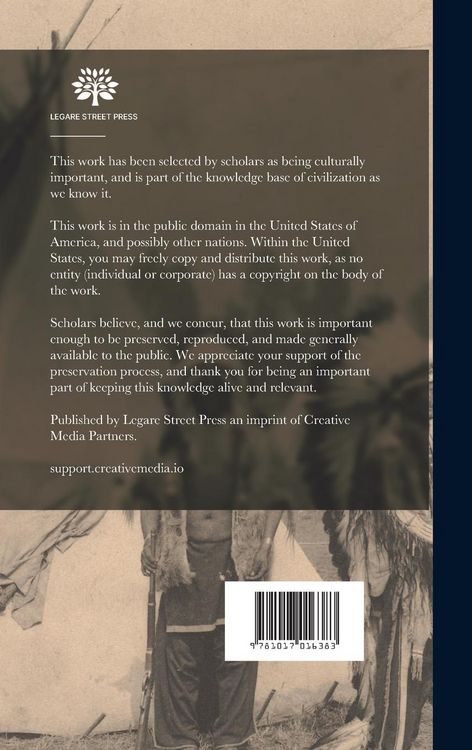 Produktbild: The Indian To-day; the Past and Future of the First American