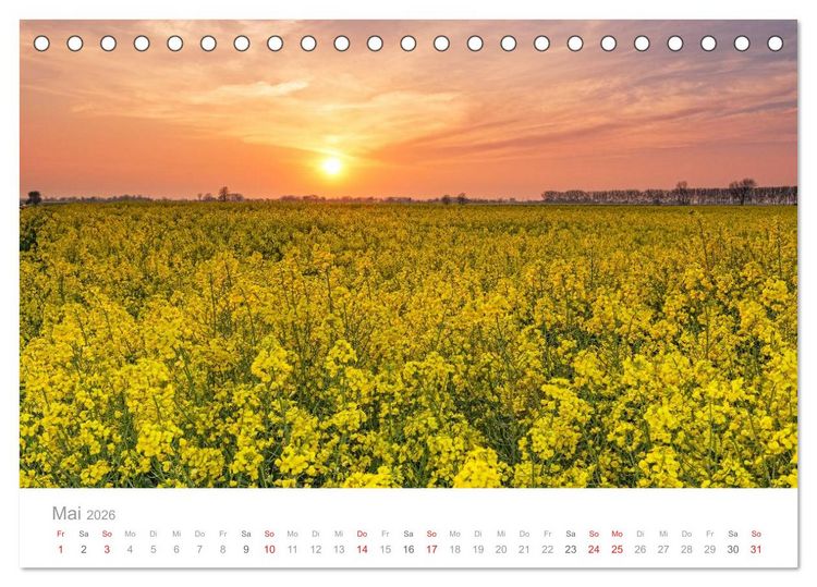 Produktbild: Lichtreise durch Schleswig-Holstein (Tischkalender 2026 DIN A5 quer), CALVENDO Monatskalender