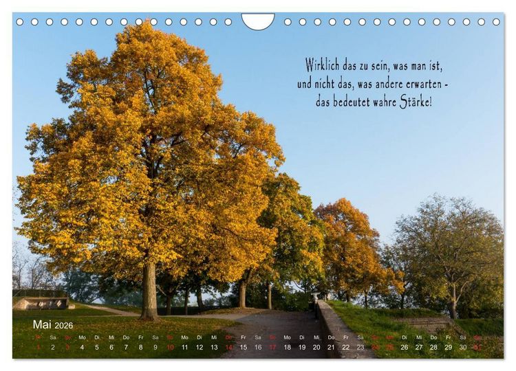 Produktbild: wundersch&ouml;ne Lichtmomente (Wandkalender 2026 DIN A4 quer), CALVENDO Monatskalender