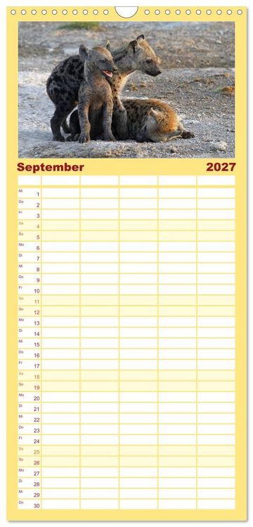 Produktbild: Familienplaner 2027 - Wildes Kinderzimmer - Tierkinder in Afrika mit 5 Spalten (Wandkalender, 21 x 45 cm) CALVENDO