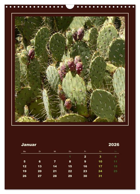 Produktbild: Wilde Kakteen Amerikas (Wandkalender 2026 DIN A3 hoch), CALVENDO Monatskalender