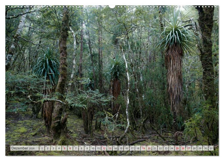 Produktbild: W&auml;lder der Welt (hochwertiger Premium Wandkalender 2026 DIN A2 quer), Kunstdruck in Hochglanz