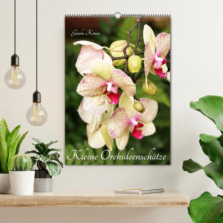 Produktbild: Kleine Orchideensch&auml;tze (Wandkalender 2026 DIN A2 hoch), CALVENDO Monatskalender