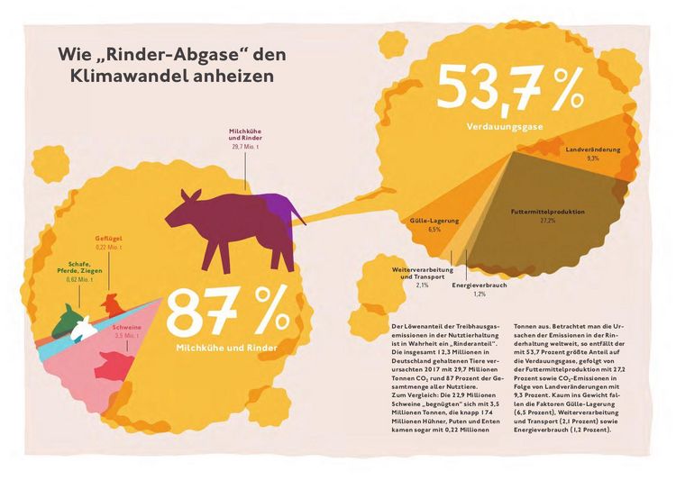 Produktbild: Klimafreundlich essen mit der CO2-Challenge