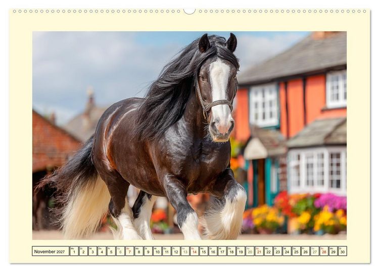 Produktbild: Shire Horse Zauber. Englands elegante Riesen (Wandkalender 2027 DIN A2 quer), CALVENDO Monatskalender