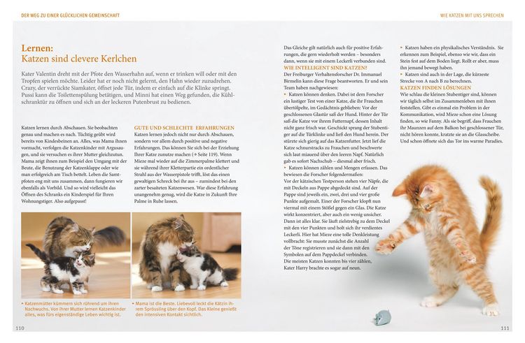 Produktbild: Wohnungskatzen
