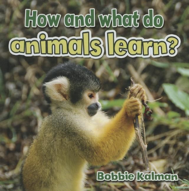 Produktbild: How and What Do Animals Learn?