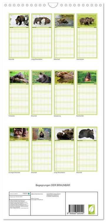 Produktbild: Familienplaner 2026 - Begegnungen DER BRAUNB&Auml;R mit 5 Spalten (Wandkalender, 21 x 45 cm) CALVENDO