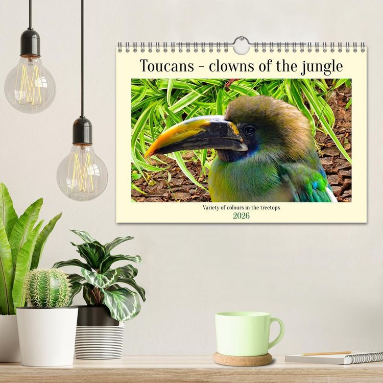 Produktbild: Toucans - clowns of the jungle (Wall Calendar 2026 DIN A4 landscape), CALVENDO 12 Month Wall Calendar