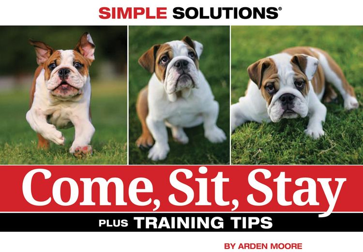 Produktbild: Come, Sit, Stay