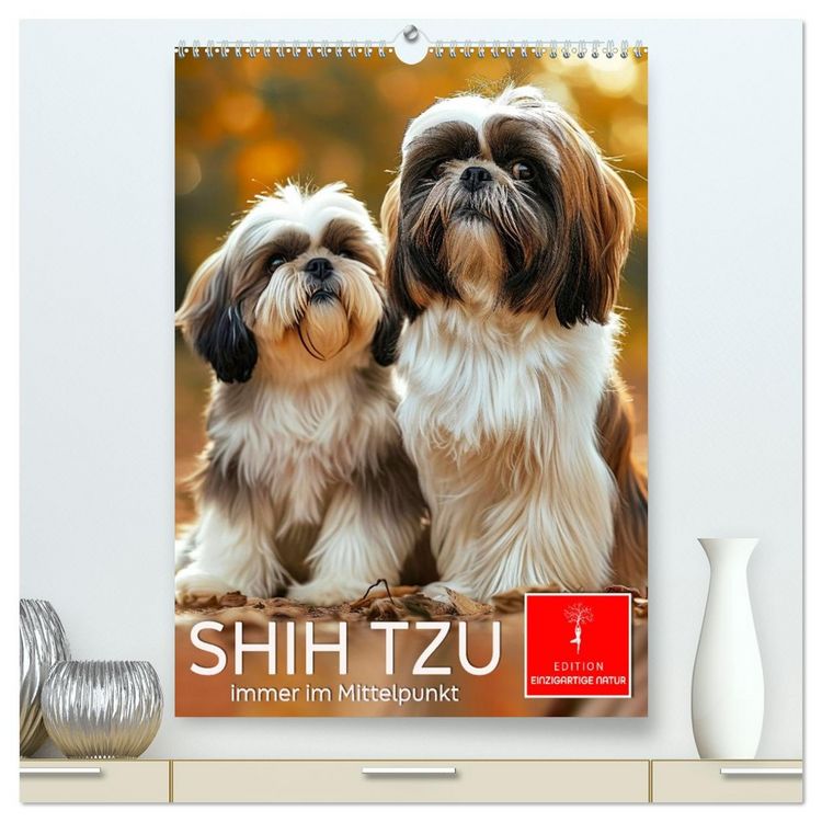 Produktbild: Shih Tzu - immer im Mittelpunkt (hochwertiger Premium Wandkalender 2026 DIN A2 hoch), Kunstdruck in Hochglanz