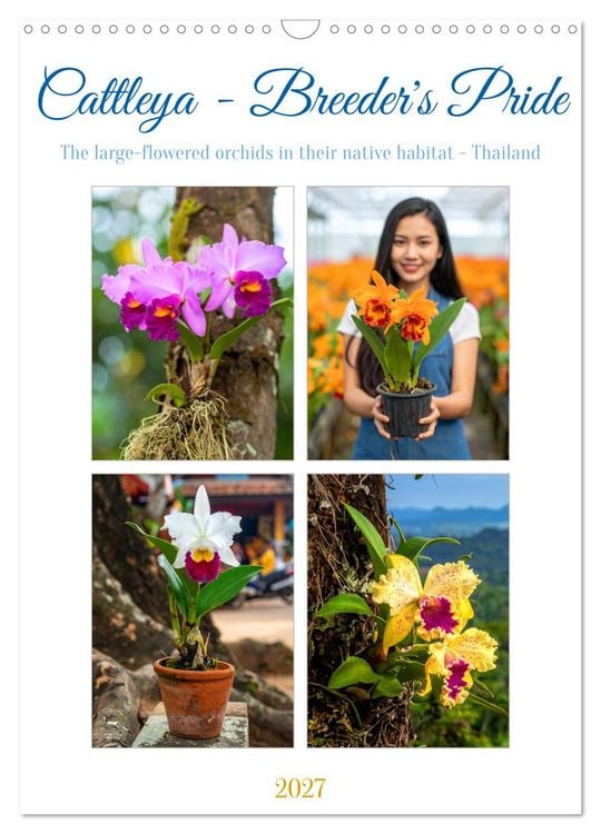 Produktbild: Cattleya - Breeder's Pride (Wall Calendar 2027 DIN A3 portrait), CALVENDO 12 Month Wall Calendar