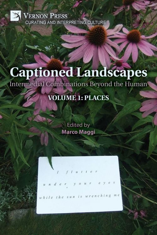 Produktbild: Captioned Landscapes