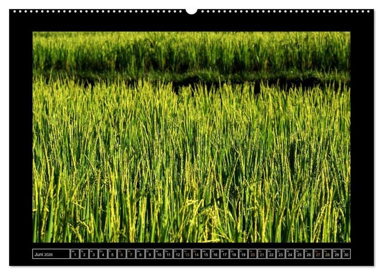 Produktbild: Bali - Details (Wandkalender 2026 DIN A2 quer), CALVENDO Monatskalender