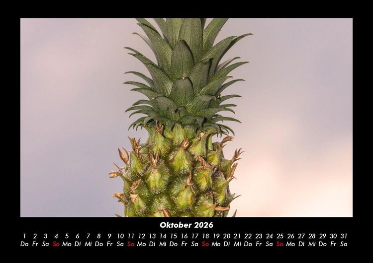 Produktbild: Obstkalender 2026 Fotokalender DIN A3