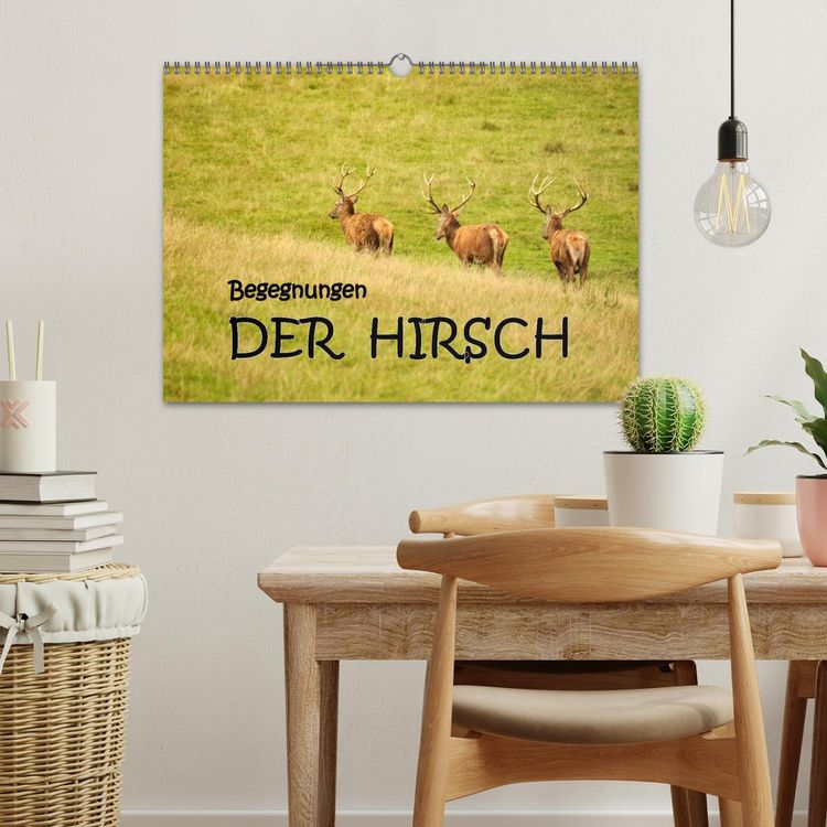 Produktbild: Begegnungen. DER HIRSCH (Wandkalender 2026 DIN A3 quer), CALVENDO Monatskalender