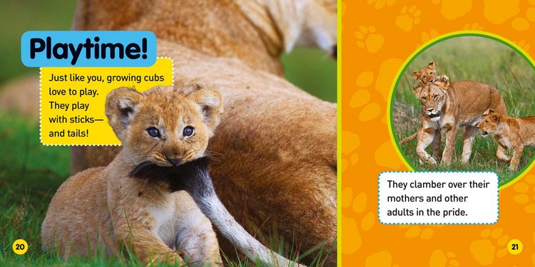 Produktbild: Explore My World: Lions