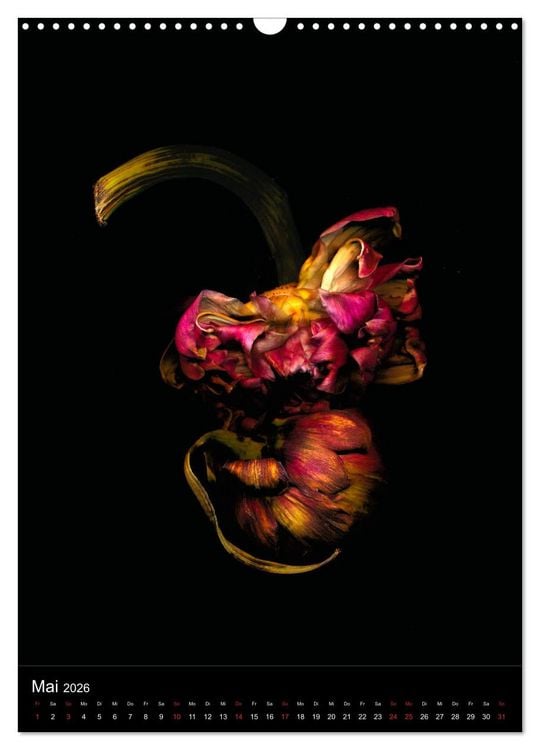 Produktbild: Blumen bei Nacht (Wandkalender 2026 DIN A3 hoch), CALVENDO Monatskalender