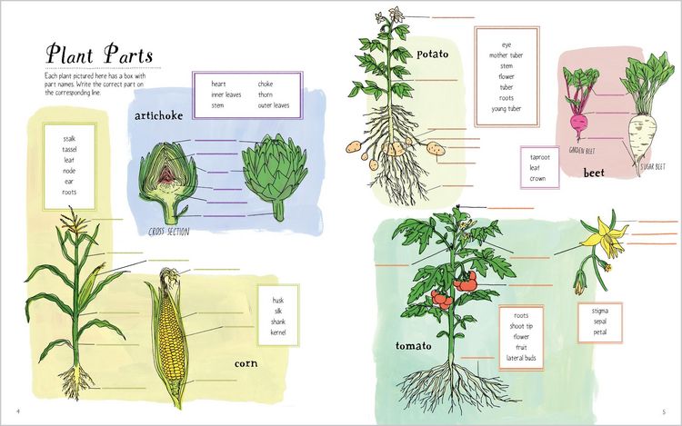 Produktbild: Julia Rothman's Farm Anatomy Activity Book
