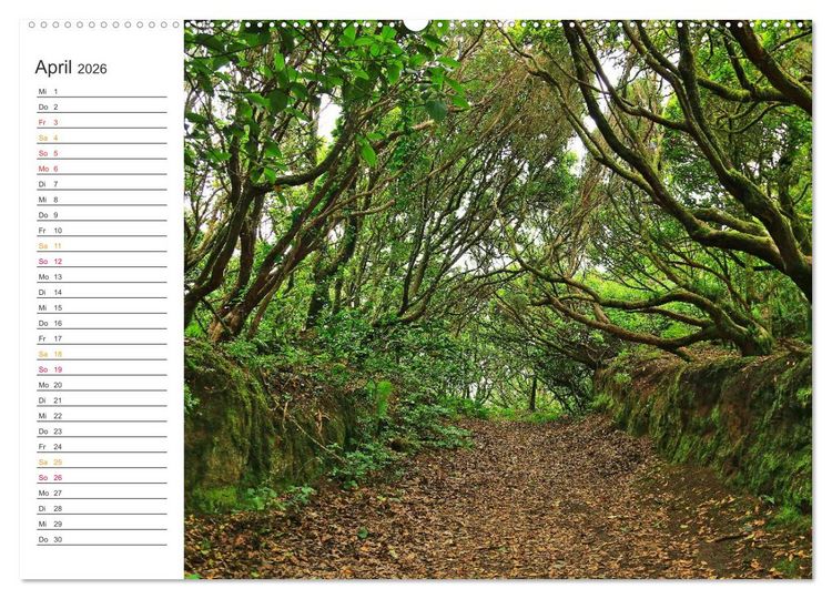 Produktbild: Der Norden von Teneriffa (Wandkalender 2026 DIN A2 quer), CALVENDO Monatskalender