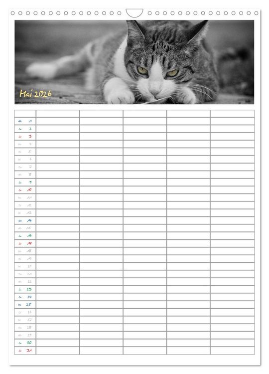 Produktbild: Miezekatzen Planungskalender (Wandkalender 2026 DIN A3 hoch), CALVENDO Monatskalender