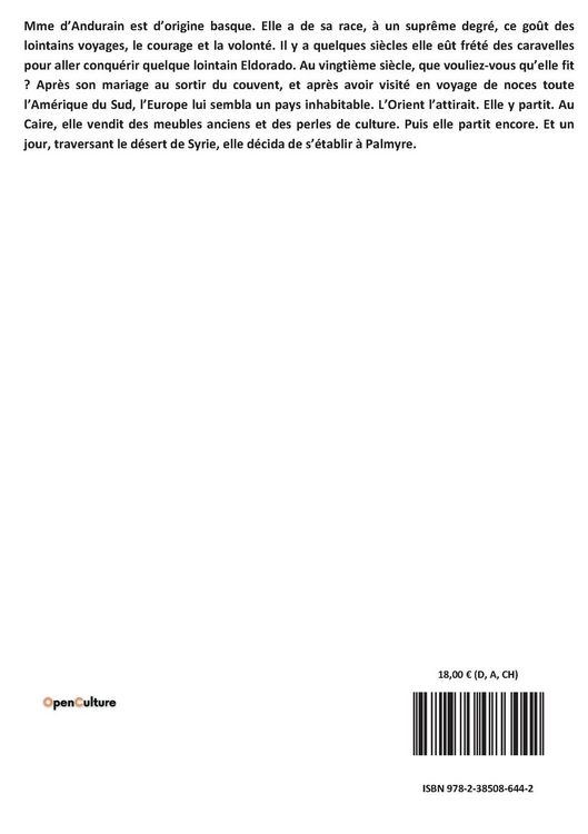 Produktbild: Sous le voile de l'Islam