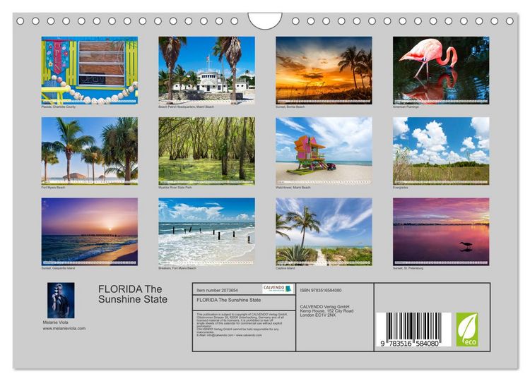 Produktbild: FLORIDA The Sunshine State (Wall Calendar 2026 DIN A4 landscape), CALVENDO 12 Month Wall Calendar