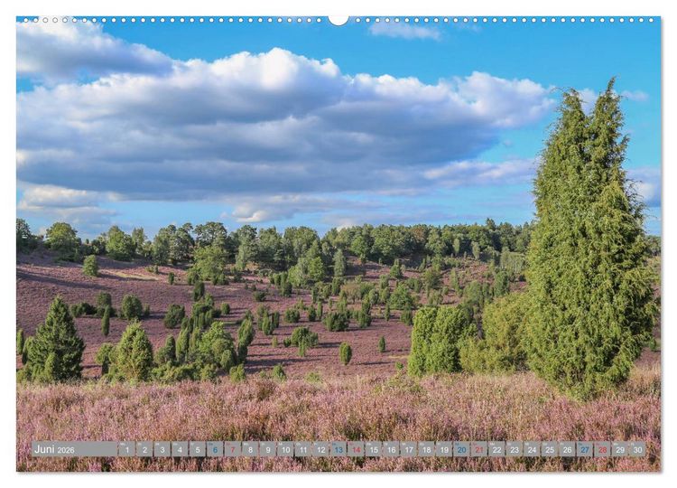 Produktbild: L&uuml;neburger Heide - Faszinierend sch&ouml;n (Wandkalender 2026 DIN A2 quer), CALVENDO Monatskalender