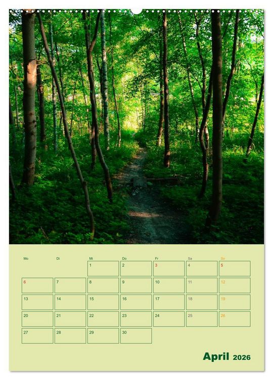 Produktbild: Wald- und Wiesenkalender 2026 Planer (hochwertiger Premium Wandkalender 2026 DIN A2 hoch), Kunstdruck in Hochglanz