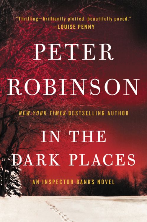 Bild vom Artikel In the Dark Places vom Autor Peter Robinson