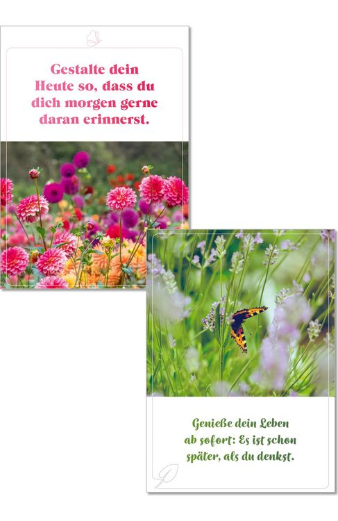 Produktbild: Die Lebensfreude-Postkarten. Genie&szlig;e dein Leben.