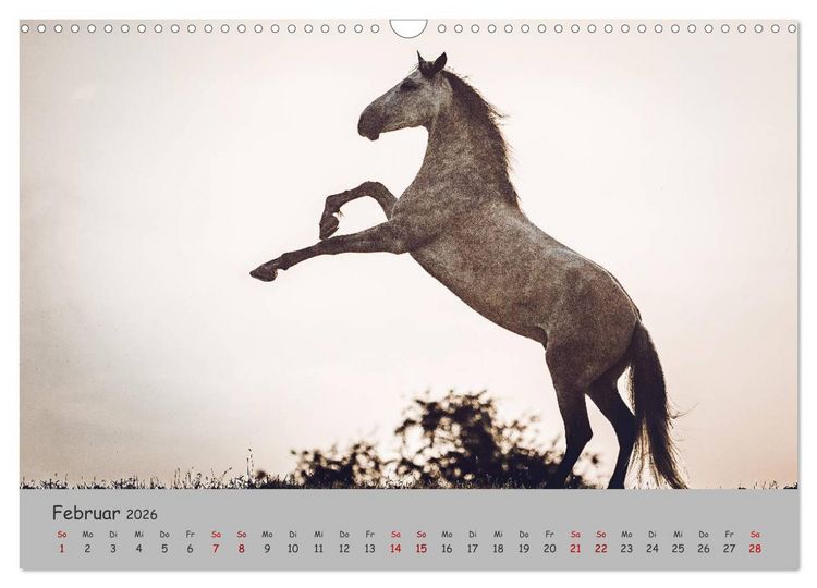 Produktbild: Spiegel deiner Seele (Wandkalender 2026 DIN A3 quer), CALVENDO Monatskalender