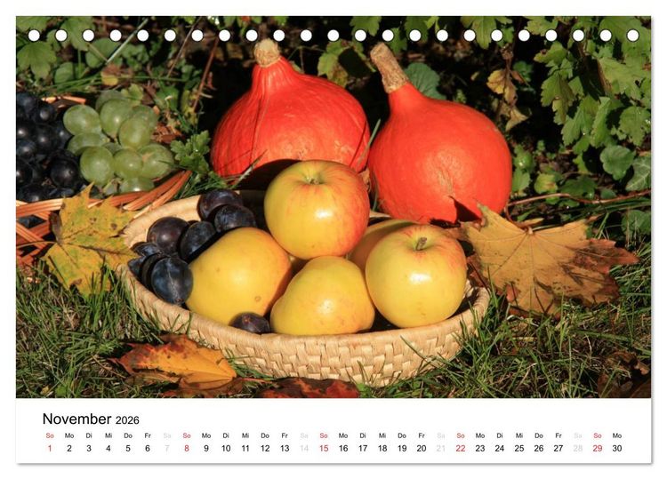 Produktbild: Alte Apfelsorten (Tischkalender 2026 DIN A5 quer), CALVENDO Monatskalender