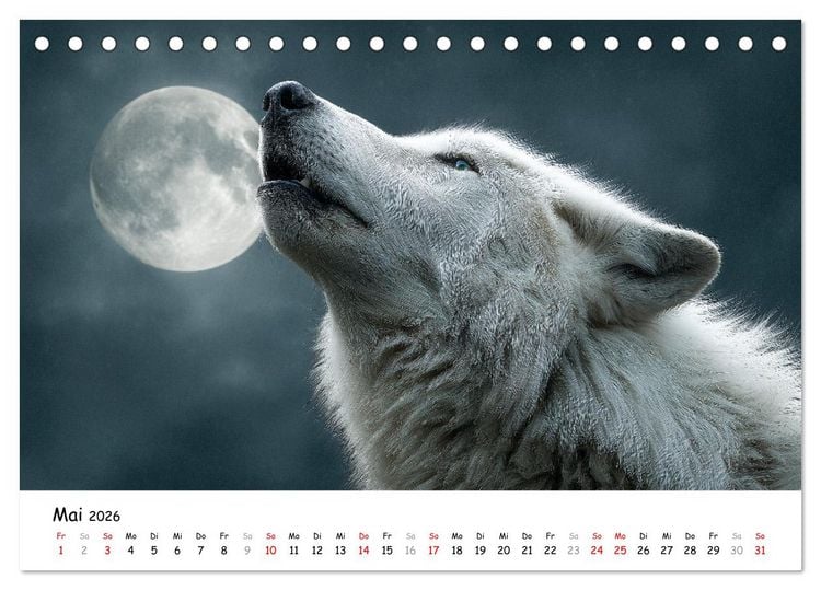 Produktbild: W&ouml;lfe im Mondlicht - Ruf der Wildnis (Tischkalender 2026 DIN A5 quer), CALVENDO Monatskalender